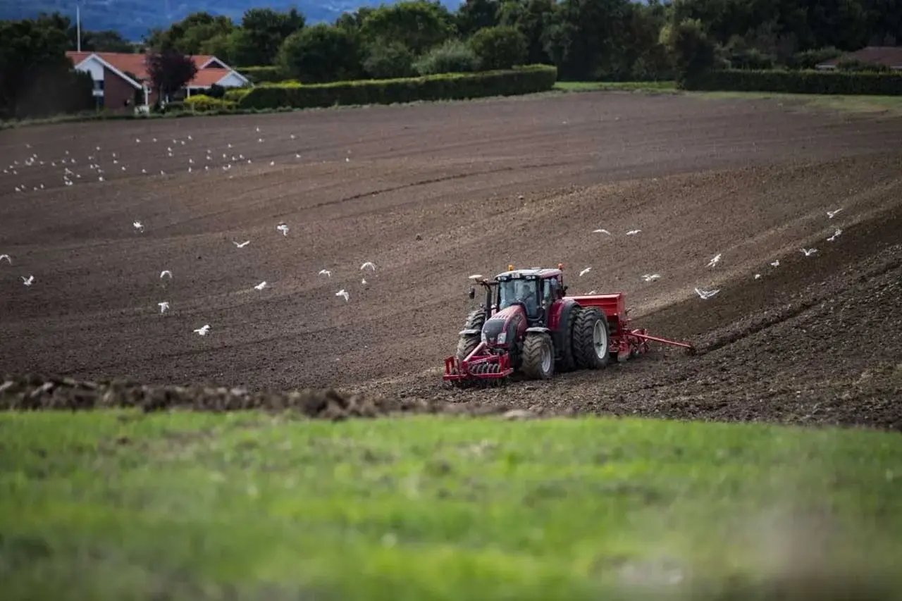 case-seges-field